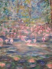 Flamingos im See